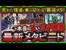 【メタビート】圧倒的勝率！最新構築で余裕で勝て環境をメタって強い！後手も勝てる回し方【展開ルート】解説実況【#遊戯王マスターデュエル】【#yugioh】