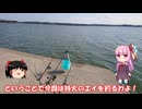 琴葉姉妹と行く釣行記録（暇潰し編part55）