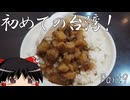 【ゆっくり】初めての台湾一人旅 Part9 九份散策 宿紹介 魯肉飯&蒸しスープ餃子