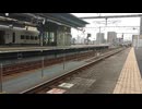 特急黒いピクミンにちりん号