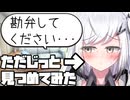 アリアルさんをただじっと見つめてみた【CoeFont劇場】【アリアル】【ボイロ一人称劇場】