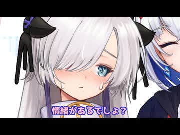 星界ちゃんと裏命ちゃんの秘密の文通【ソフトウェアトーク劇場】