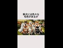 柴犬にはいろいろな毛色があるが・・・