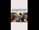 亡くなったワンちゃんはあなたが気づかないだけで・・・