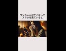 ワンちゃんが亡くなってスマホをみていると・・・
