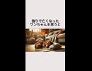 独りで亡くなったワンちゃんを思うと・・・