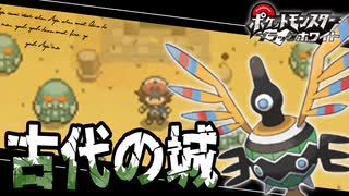 失ったポケモンは二度と戻らない。【ブラックホワイト】#14