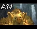 【初見実況】よく泣く人が楽しく遊ぶFF13#34【FF13】