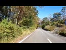 Driving on a country road on a sunny day