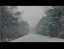 Heavy snow falling on Mt. Fuji road