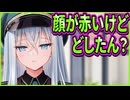 【オトメ世界の歩き方】25　洗濯係に任命された主人公が解像度の高い妄想をしてそう