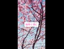 桜咲く頃に　#初音ミク