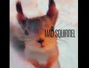 MAD SQUIRREL / 花隈千冬