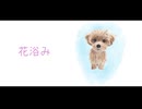 花浴み / 知声