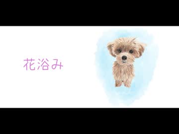 花浴み / 知声