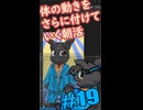 ▶朝活◀ 体に更なる動きをつけていきながらおはようございます