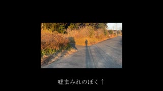 すこしだけ/かけぬける/そんな朝 / 知声&初音ミク