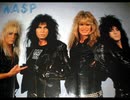 W.A.S.P.  - Sweet Cheetah