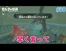 【ゼルダの伝説BotW】初めてのブレワイ！折れない心で未知の世界へ！#30【実況】