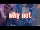 why not/宮舞モカ