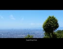 いとしいせかい｜カゼヒキ