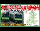 【衝撃発表】廃止の週末パスそっくりの“外国人専用切符”が発売決定！？｜鉄道ファン困惑の概要とは・・・【JR東日本】【ゆっくり解説】#Shorts