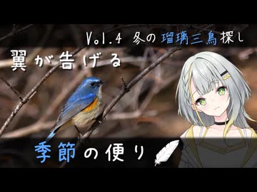 【VOICEROID探鳥】翼が告げる季節の便り　Vol.4 冬の瑠璃三鳥探し