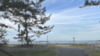 忘るな草/Ci flower