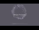 Somnia Praeterita / 裏命（RIME）