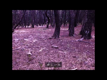 虹の松原 / 初音ミク