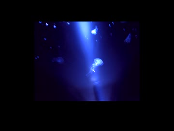 デルタ・キュグニー / カゼヒキV