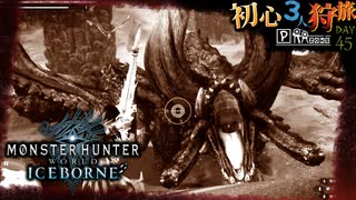 【モンハンワールド/MHW】黒と白がドーンよ狩猟旅日記【初見マルチプレイ】