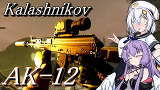 【EFT】# 275　AK-12につよつよなストックが増えたのはご存じ？【タルコフ/紲星あかり】
