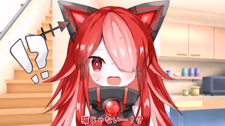 【第一回猫耳投稿祭】猫の日と猫耳と猫組【voicevox劇場】