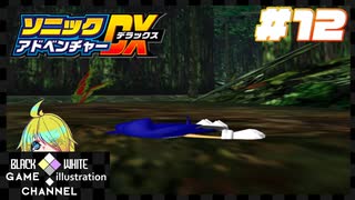 初見でマキのソニックアドベンチャーDX＃12
