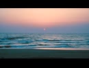 空蝉 feat 初音ミク & V_Flower