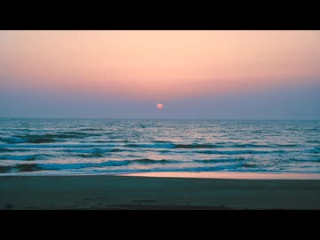 空蝉 feat 初音ミク & V_Flower