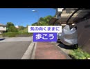 Walkway / 知声