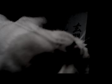 玄関 / 悒うつぼ - カゼヒキ
