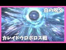 【ヘブバン】カレイドウロボロス戦BGM『白の呪文』初見初アタック /歌詞あり/【五章中編Part２】※ネタバレ有