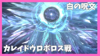 【ヘブバン】カレイドウロボロス戦BGM『白の呪文』初見初アタック /歌詞あり/【五章中編Part２】※ネタバレ有