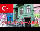 【part2】トルコ・イスタンブール旅行【ずんだもんとめたんの海外派遣記】#トルコ #イスタンブール