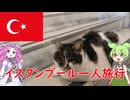 【part4】トルコ・イスタンブール旅行【ずんだもんとめたんの海外派遣記】#トルコ #イスタンブール