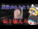 ゆっくり実況】異常が起こる深夜放送から生き残るホラーゲーム【PSA】