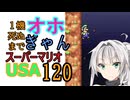1機しぬまでオホギャンマリオUSA【クロワちゃん実況プレイ】120