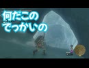 ゼルダの伝説　ティアーズ オブ ザ キングダム　実況プレイPart291