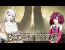 【エルデンDLC】きりきずは、影の地で。part20
