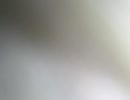 76190994995__68127FC7-6348-4C1F-9241-681BD610EE7B