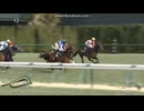 2025 つばき賞 (3歳1勝クラス)　パラディレーヌ