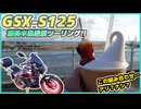 #104【GSX-S125】ソフトクリーム+みたらし団子…【まぐろゆっけvlogアーカイブ】